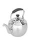 Indonesia Saif Gallery Steel Kettle, 4 Liters - Silver