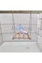 Budgie Cage Accessories Set of 3 Bird Toy Bird Swing Bird Tunnel - 2