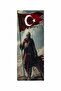 Turkish Flag Soldier Printed Car Door Post Covering Foil Sticker Set of 2 (Right & Left) - 2