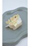 Sea Themed Soft Color Acrylic Peg Buckle