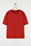 Kiremit %100 Pamuk Sırt Baskılı Oversize Kesim Bisiklet Yaka Örme T-Shirt TBBSS24BF00025 - 2
