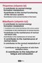 Vitamin B Complex 50 Capsules Vitamins B1, B2, B3, B5, B6, B12, Choline, Inositol, Folic Acid, Biotin - 2