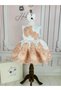 Baby Kids French Lace Ball Gown Birthday Dress - 2