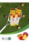 Bee Propolis Peach Fruit Bar 12 Pieces |   Healthy Snacks – Gluten Free (25Gr X 12 Pieces) - 5