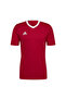 إنستراتا 22 جيرسي - 3