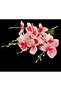 45cm Artificial Wet Red White Orchid Decoration Orchid Bunch - 2