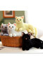 Plush Cat Sitting Cat Plush Toy Sleeping Companion Cat Real Cat Feeling Imported 30cm Cat - 5