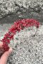 Michaelle Red Bridal Henna Crown Special Occasion Accessory Women's Crown Hair Accessory – Crown, Crystal Stone - 2