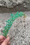 Silvana Green Gold Bridal Henna Crown High Quality Special Occasion Accessory Women Crown Hair Accessory - 3