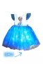 Elsa Light up Dress Costume Birthday Party Wedding Invitation Holiday Summer Dress Single Dress Is Sold - 3