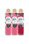 Rose + Blooming Peony & Cherry Air Freshener Value Pack 3 x 300 ml