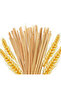 Long Cocktail Straw 50Pcs 20 cm Wheat Stalk Straw Cocktail Straw Cocktail Straw 50 Pieces