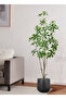 Artificial Green Plants for Home Decoration, Pieris Ovata - 2