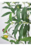 Home Interior Artificial Green Plant Decoration, Olive Tree - 4