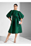 Ruffle Sleeve Taffeta Dress