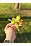 Trend Exotic Artificial Tiered Orchid Flower Transparent Clothespin Buckle Transition Neon Green Yellow - 3
