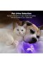 Lepro Small UV Blacklight Flashlight, Portable Black Light 395nm, Ultraviolet Light Detector for Inv - 4