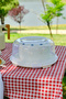 Container Rocca Cake Transporting Dish Cream
