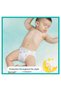 Harmonie Diaper 4 Size 76 Pieces (19X4) Monthly Opportunity Package - 6