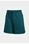 Z.N.E. Shorts - 8