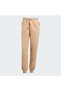 Z.N.E. Sweatpants - 3