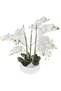 Flori decorative - 2