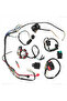 Full Complete Electrics Wiring Harness CDI STATOR Kit For Motorcycle ATV Quad Pit Bike Buggy Go K... - 6