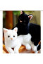 Plush Cat Sitting Cat Plush Toy Sleeping Companion Cat Real Cat Feeling Imported 30cm Cat - 2