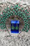 Michaelle Green Bridal Henna Crown Special Occasion Accessory Women's Crown and Drop Shuttle Earrings Set