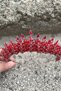 Salvatore Red Bridal Henna Crown High Quality Special Occasion Accessory Women's Crown Hair Accessory