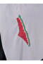 Polyster Gray Color Shawl Palestine Map Embroidered with Watermelon Colors S100036 - 8