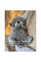 Interactive Plush Teddy Bear with Light and Music Effects, Breathing Function, Gray - 4