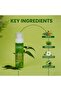 Teatree Fresh Balancing Skin Toner - 120 ml - 4