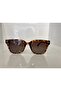 Polarized Sunglasses Gl309C15