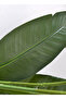 Home Interior Artificial Green Plant Decoration, Traveler Banana - 6