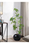 Artificial Green Plants for Home Decoration, Pieris Ovata - 4