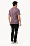 Short Sleeve Cotton T-Shirt - 2
