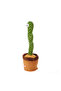Dancing Cactus Toy Singing Talking Record Electric Cactus Toy Dancing Cactus Doll Eco-friendly Plush - 4