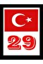 ملصق زجاج أمامي برمز لوحة ترخيص Gümüşhane 29 مع علم تركيا