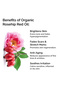 Cold-Pressed Organic Rosehip Oil 20ml – Hydrates, Repairs Scars & Dark Spots, Skin Renewal Serum - 4