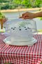 Container Rocca Cake Transporting Dish Cream - 2