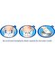 Panty Diaper Size 7 Xx Large Opportunity Package 27 Pieces - 4