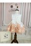 Baby Kids French Lace Ball Gown Birthday Dress - 4