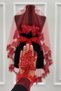 Red Bridal Veil Set, Sparkling Crystal Glass Beads and Sequins Embroidered Henna Veil 6 Pieces - 6