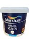 Su Bazlı Amerikan Panel Kapı Boyası 0,75lt