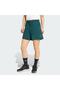 Z.N.E. Shorts