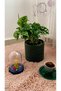 MONSTERA MONKEY LEAF &DELİKLİ DEVE TABANI-OFİS-SALON BİTKİSİ - 3