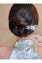 Chinese Hair Clip with Special Design,1Pcs to Send Any Model - 2