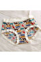Stylish Animal Print Panties Soft Breathable Cotton Blend Underwear for Women - 2