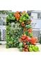 Other As Picture 115-Piece Set of Safari Jungle Balloon Arch Set, Green and Brown Animal Balloon Gar - 4